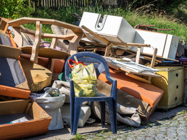 Yard Cleanup Services in Lake Shastina, CA