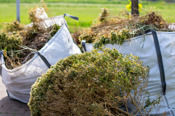 Best Household Junk Removal  in Lake Shastina, CA